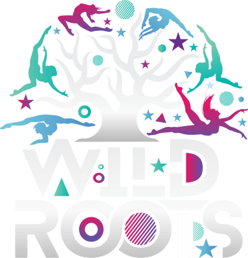 Wild Roots Festival 2024 festival in Ireland